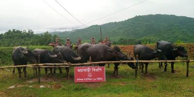 সিলেটের ৭ সীমান্তে তিন কোটি টাকার চোরাচালান জব্দ