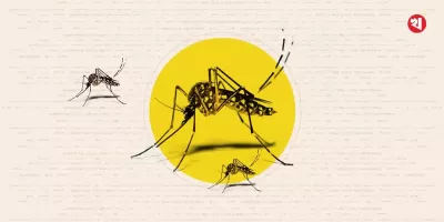 চট্টগ্রামে ডেঙ্গু আক্রান্ত ৪১ , চিকুনগুনিয়ায় ১৮