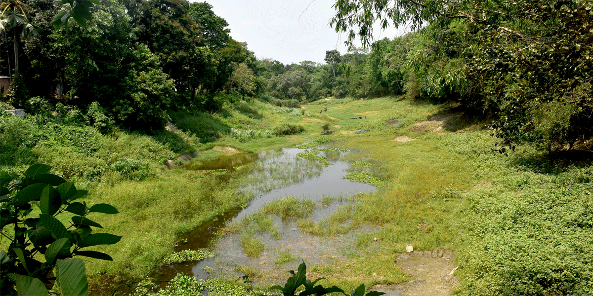 ইছামতী এখন মৃতপ্রায়