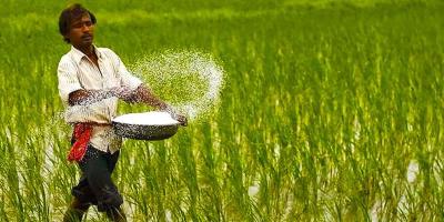 ১১৭৮ কোটি টাকার সার কিনবে সরকার