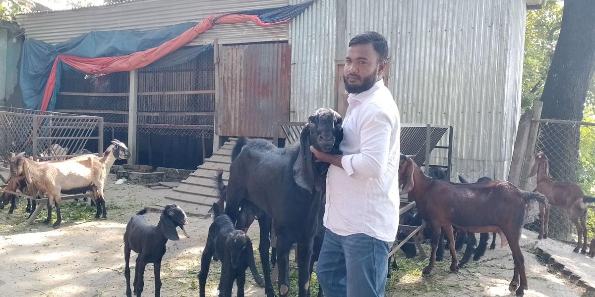 ছাগল পালনে সোহায়েলের সাফল্য