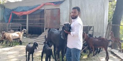 ছাগল পালনে সোহায়েলের সাফল্য