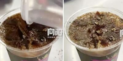 ভাইরাল তেলাপোকার কফি, দাম ৭৭৫ টাকা