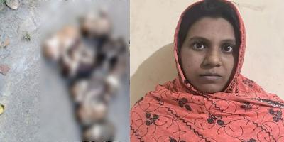 ৮ কুকুরছানা হত্যা: কী শাস্তি হতে পারে সেই নারীর?