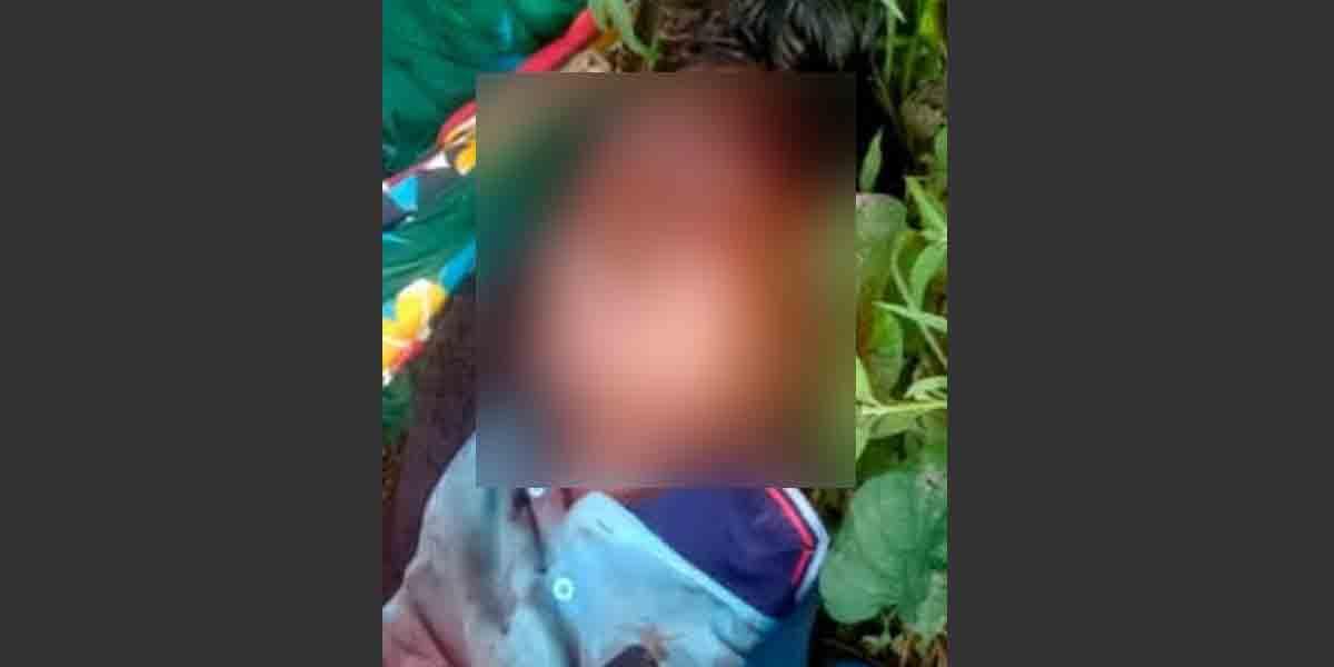 সালথায় মাছ ব্যবসায়ীকে কুপিয়ে হত্যা, আহত ১