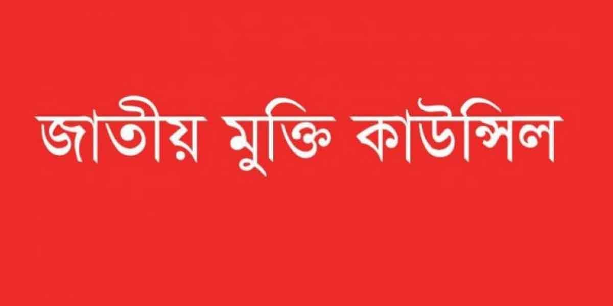 হাদী গুলিবিদ্ধ, জাতীয় মুক্তি কাউন্সিলের বিবৃতি