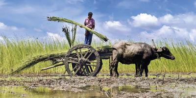 রাব্বীর ছবিতে জুড়ায় প্রাণ