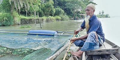 বরিশালে খাঁচায় মাছ চাষে আগ্রহ বাড়ছে মৎস্যজীবীদের