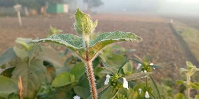 আবহাওয়ার ২৪ ঘণ্টার পূর্বাভাস