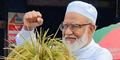 ড. মোশাররফ রাষ্ট্রপতি হচ্ছেন এ গুঞ্জনে দাউদকান্দি আনন্দের হাওয়া