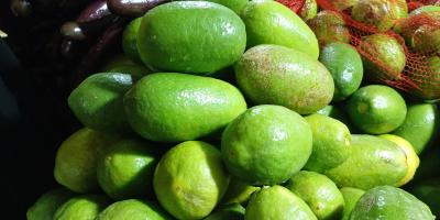 আখাউড়ায় লেবুর হালি ১৬০ টাকা