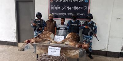 পাথরঘাটায় গলাকাটা দুই হরিণসহ শিকারি আটক
