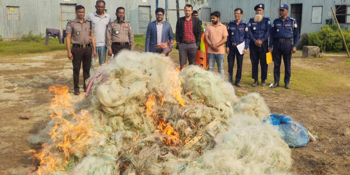 চাঁদপুরে পোড়ানো হলো ২৬ হাজার বর্গমিটার নিষিদ্ধ জাল