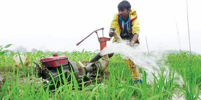 বাড়তি ডিজেলের দাম, খরচ বাড়ছে সেচকাজে