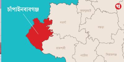 চাঁপাইনবাবগঞ্জে পিকআপের ধাক্কায় চালক নিহত