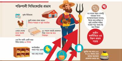 টিকতে পারছেন না পোলট্রিশিল্পের ক্ষুদ্র খামারিরা