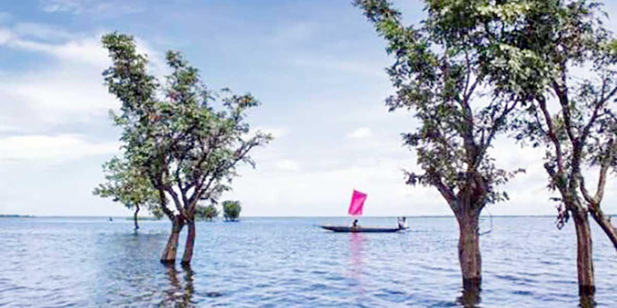 জীবনের জন্য পানি অধ্যায়ের ৫টি বহুনির্বাচনি প্রশ্ন ও উত্তর, ৫ম পর্ব, এসএসসি পরীক্ষার বিজ্ঞান