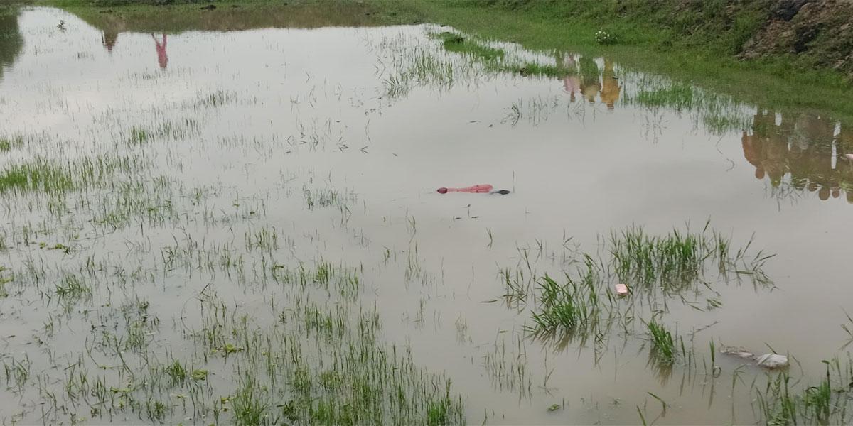 মায়ের সঙ্গে হাঁস খুঁজতে গিয়ে আর ফিরল না শিশু পলি