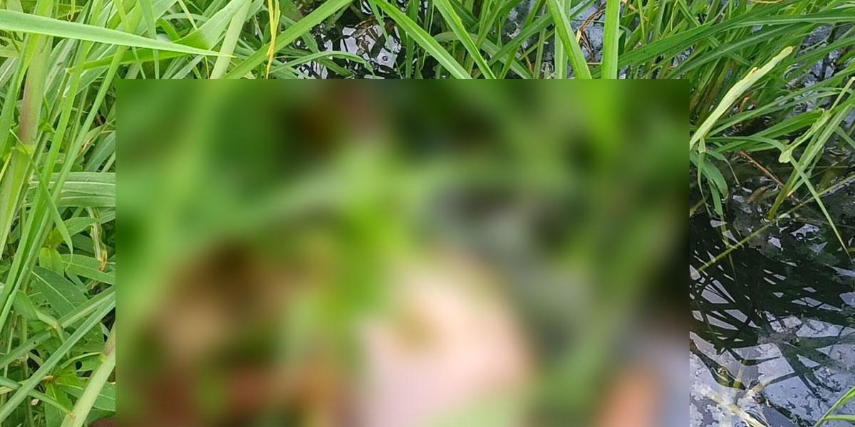 সাতকানিয়ায় খাল থেকে রিকশাচালকের মরদেহ উদ্ধার