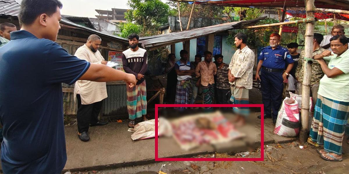 চাঁদপুরে প্রকাশ্যে শিয়ালের মাংস বিক্রি, অতঃপর...