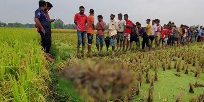 আক্কেলপুরে ধানখেত থেকে অজ্ঞাত মরদেহ উদ্ধার