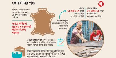 কোরবানির পশুর চামড়ার দাম বাড়িয়েছে সরকার