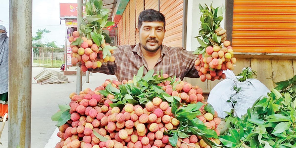 মৌসুমের শুরুতে লিচুর দাম সহনীয়