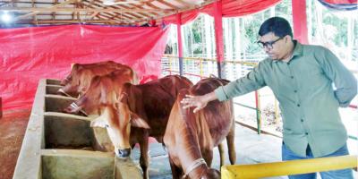 কোটি টাকার খামার গড়লেন লক্ষ্মীপুরের লিটন