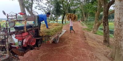 চাঁদপুরে সড়কের কাজ ফেলে লাপাত্তা ঠিকাদার, দুর্ভোগে এলাকাবাসী