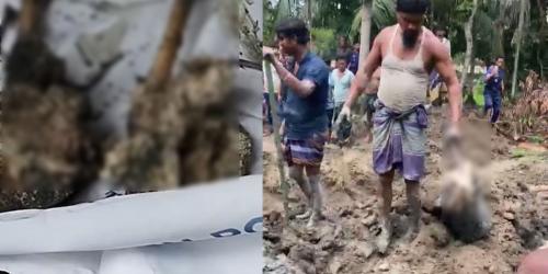 দুই বছর পর পুকুরে মিলল মা-ছেলের কঙ্কাল, গ্রেপ্তার ৩