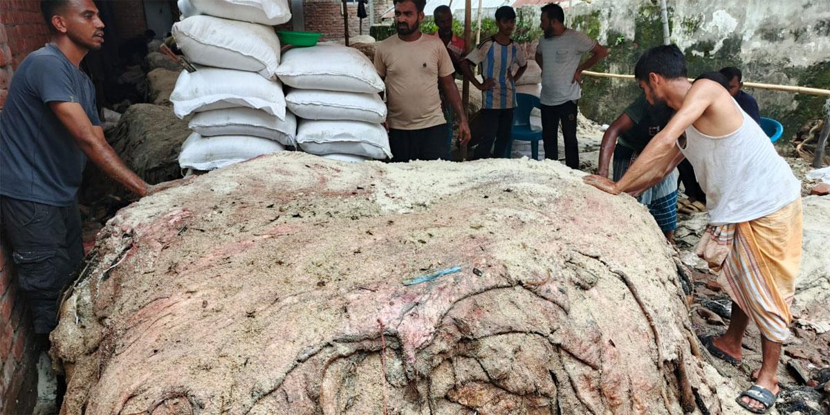চামড়া অর্থনীতি: নজর কম সরকারের