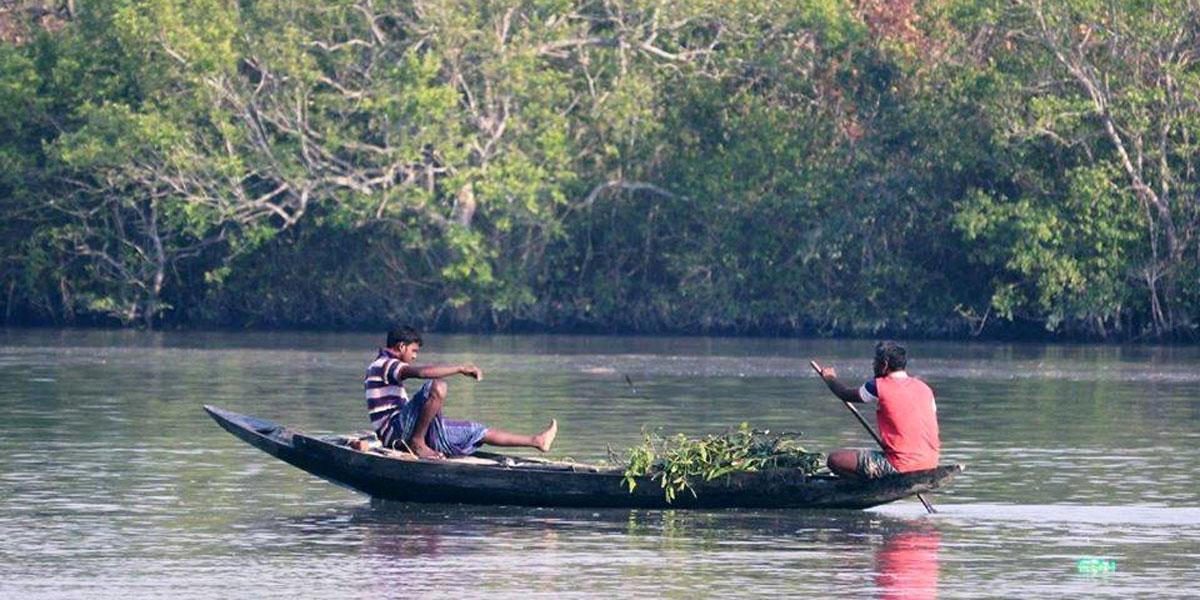 সুন্দরবনে প্রবেশে নিষেধাজ্ঞা শুরু ১ জুন থেকে