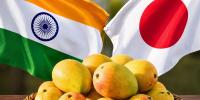 জাপানে ভারতীয় আম আমদানি নিষিদ্ধ