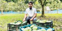 সিলেটে ১৮ দিনে ১২ টন আম বিক্রি