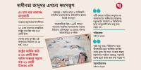 যত আক্রোশ মুক্তিযুদ্ধে