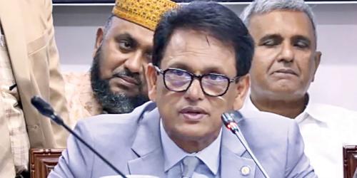 অনার্স কোর্স থেকে বাংলা ও ইতিহাস বাদ দেওয়ার কোনো পরিকল্পনা নেই: শিক্ষামন্ত্রী