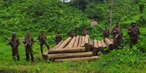 রাঙামাটিতে সেনাবাহিনীর অভিযানে ৯০ লাখ টাকার অবৈধ সেগুন কাঠ জব্দ