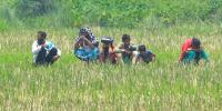 ৩ শিশুসহ ৯ জনের সীমান্তে মানবেতর জীবন
