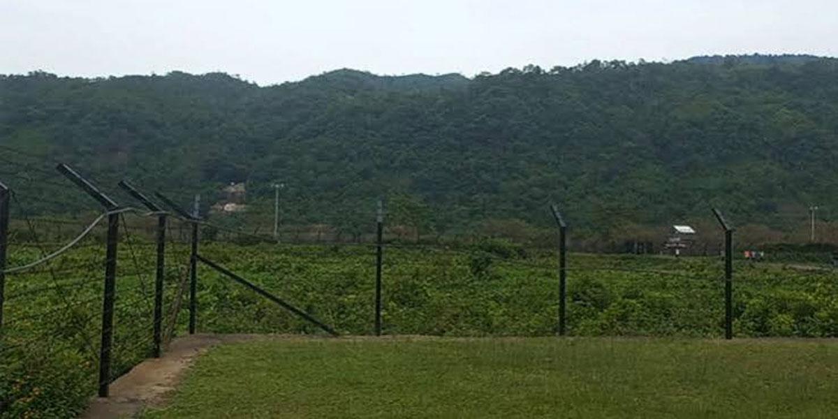 দিনাজপুর সীমান্তজুড়ে মাদকের ‘কালো করিডর’