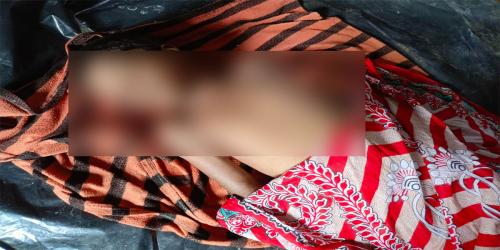সরিষাবাড়ীতে বিলে শাপলা তুলতে গিয়ে শিশুর মৃত্যু