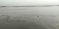তিস্তার পানি বিপৎসীমার ৭ সেন্টিমিটার ওপরে, নিম্নাঞ্চলে বন্যার শঙ্কা