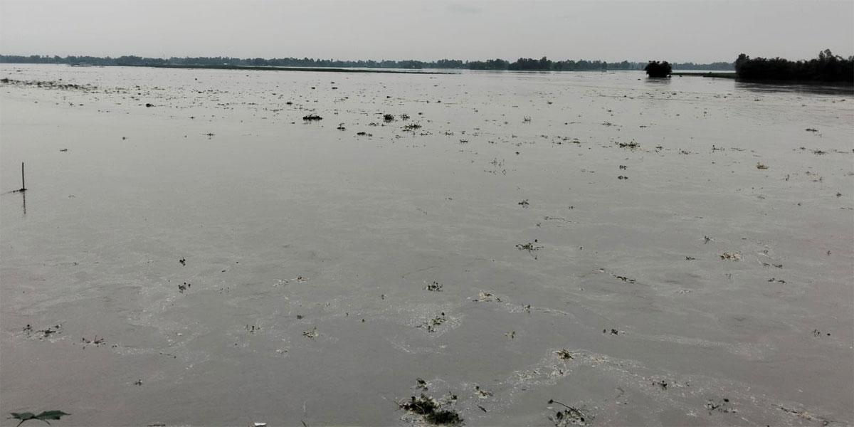 কুড়িগ্রামে দুধকুমারের পানি বিপৎসীমার ওপরে