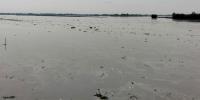 কুড়িগ্রামে দুধকুমারের পানি বিপৎসীমার ওপরে