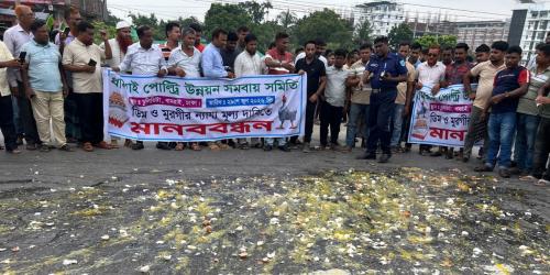 ধামরাইয়ে মহাসড়কে ডিম ভেঙে খামারিদের প্রতিবাদ