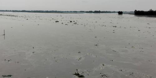 কুড়িগ্রামে দুধকুমারের পানি বিপৎসীমার ওপরে