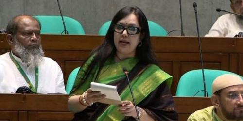 চীন সফরে প্রাপ্তি-প্রতিশ্রুতি কী মিললো, স্পষ্ট করুন: রুমিন ফারহানা