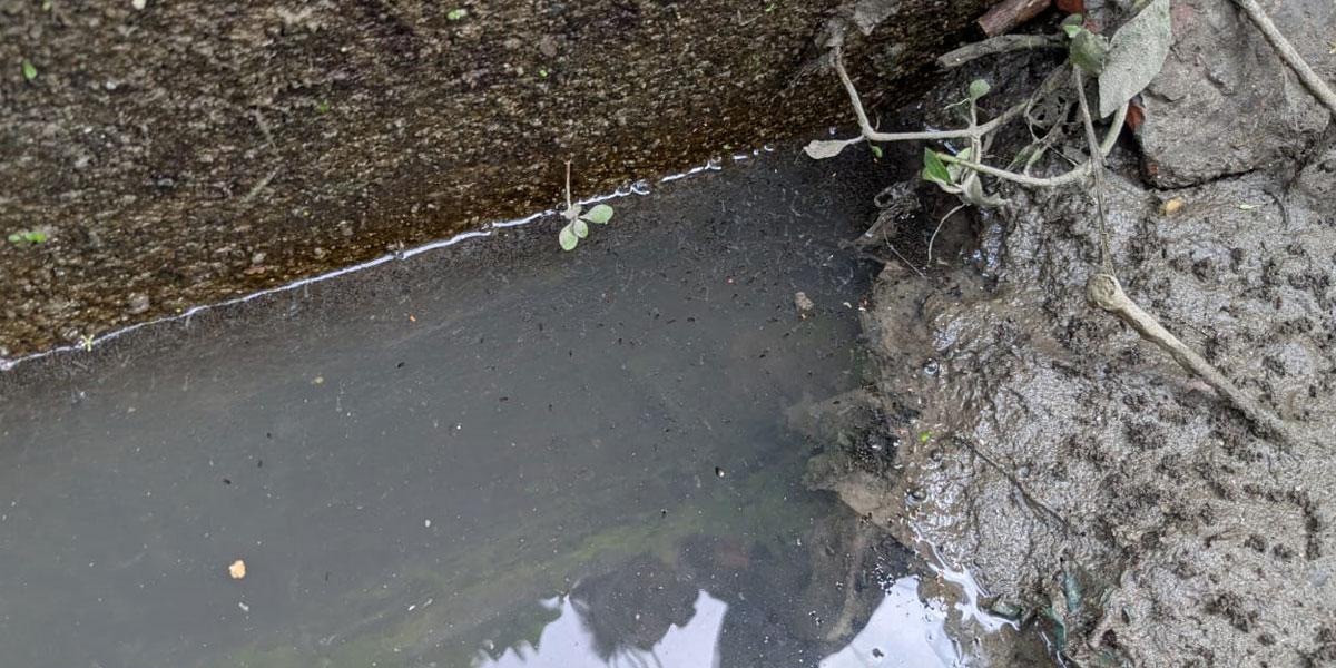 রংপুরে ডেঙ্গুর প্রকোপ কম, আক্রান্তরা বহিরাগত