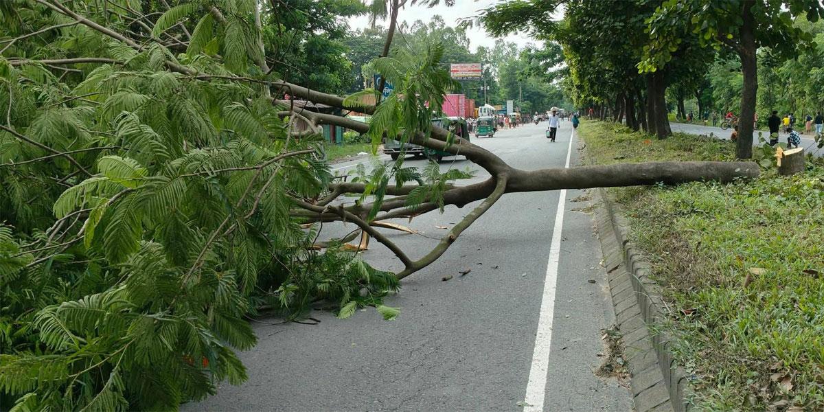 সীতাকুণ্ডে মহাসড়কে গাছ কাটার ঘটনায় মামলা, গ্রেপ্তার ২