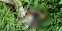 ঈশ্বরগঞ্জে অজ্ঞাত যুবকের রক্তাক্ত মরদেহ উদ্ধার