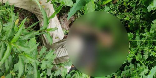 ঈশ্বরগঞ্জে অজ্ঞাত যুবকের রক্তাক্ত মরদেহ উদ্ধার